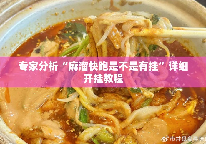 专家分析“麻溜快跑是不是有挂	”详细开挂教程