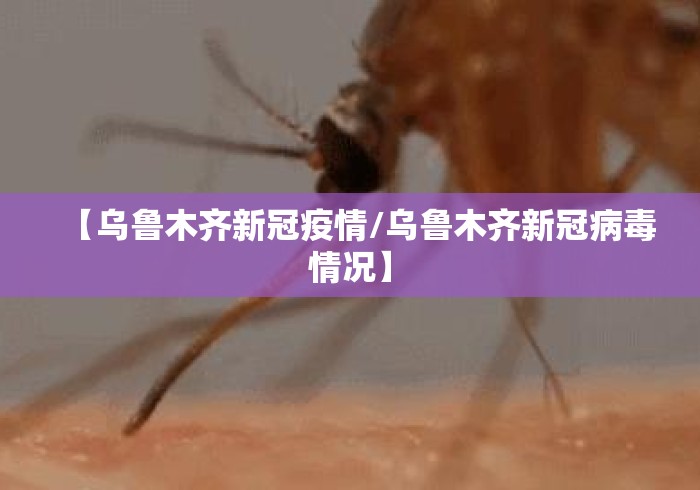 【乌鲁木齐新冠疫情/乌鲁木齐新冠病毒情况】 【乌鲁木齐新冠疫情/乌鲁木齐新冠病毒情况】