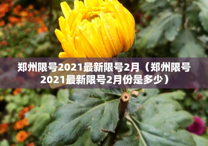郑州限号2021最新限号2月(郑州限号2021最新限号2月份是多少) 郑州限号2021最新限号2月(郑州限号2021最新限号2月份是多少)