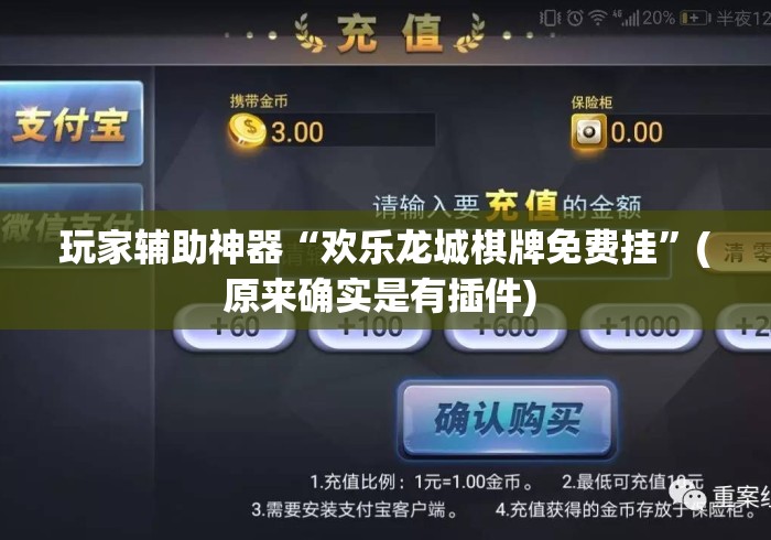 玩家辅助神器“欢乐龙城棋牌免费挂”(原来确实是有插件) 