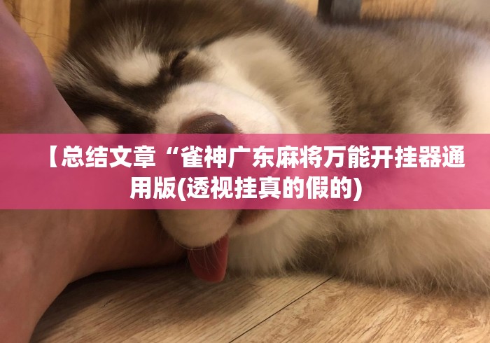 【总结文章“雀神广东麻将万能开挂器通用版(透视挂真的假的) 【总结文章“雀神广东麻将万能开挂器通用版(透视挂真的假的)