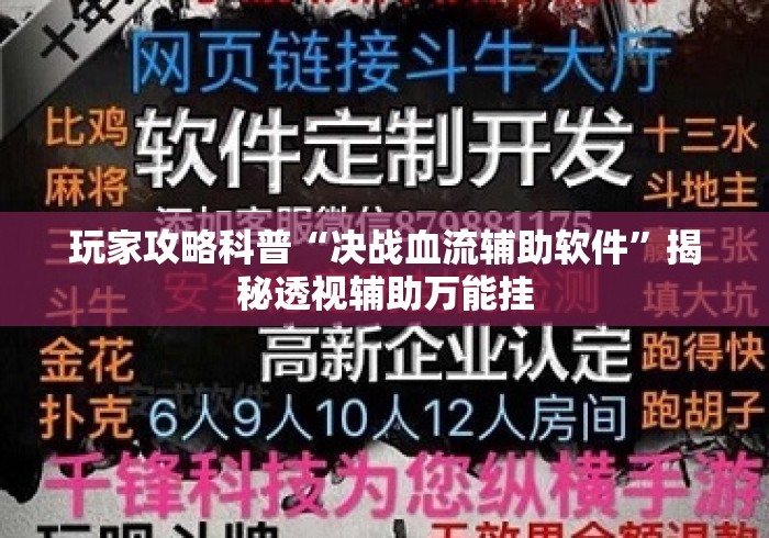 玩家攻略科普“决战血流辅助软件”揭秘透视辅助万能挂