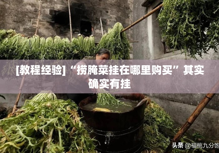 [教程经验]“捞腌菜挂在哪里购买”其实确实有挂