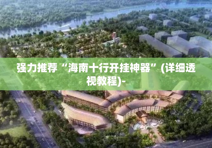 强力推荐“海南十行开挂神器”(详细透视教程)-