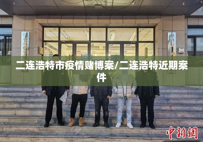 二连浩特市疫情赌博案/二连浩特近期案件
