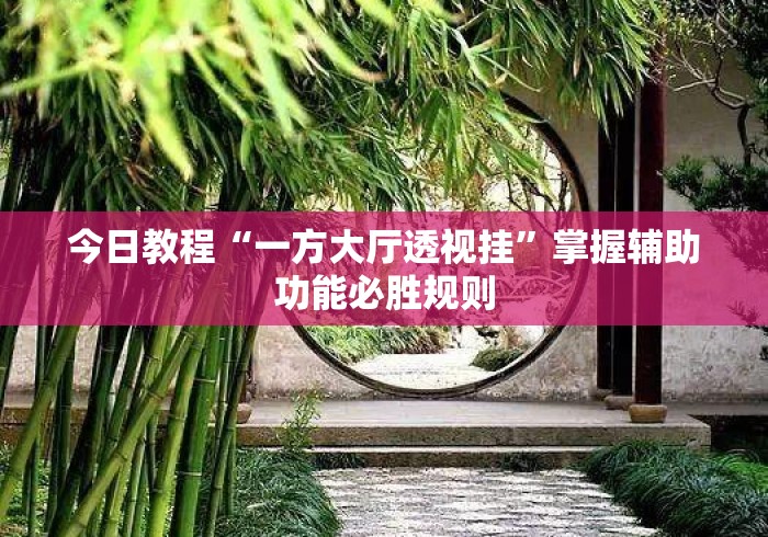 今日教程“一方大厅透视挂”掌握辅助功能必胜规则