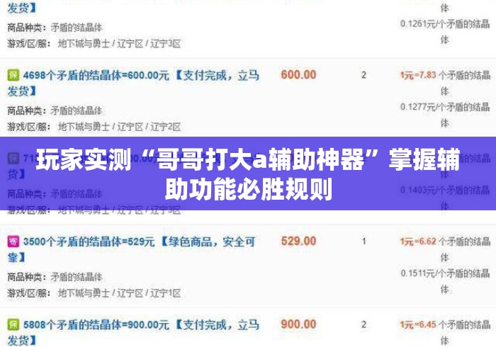 玩家实测“哥哥打大a辅助神器”掌握辅助功能必胜规则