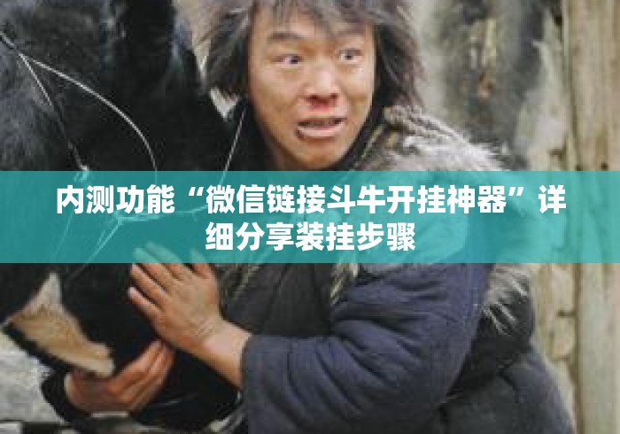 内测功能“微信链接斗牛开挂神器”详细分享装挂步骤