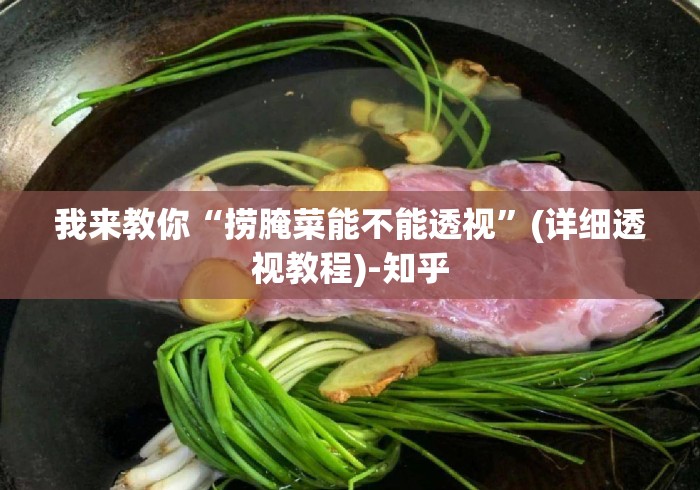 我来教你“捞腌菜能不能透视”(详细透视教程)-知乎