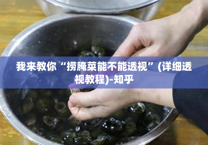我来教你“捞腌菜能不能透视”(详细透视教程)-知乎
