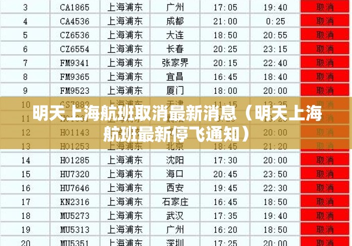 明天上海航班取消最新消息（明天上海航班最新停飞通知）