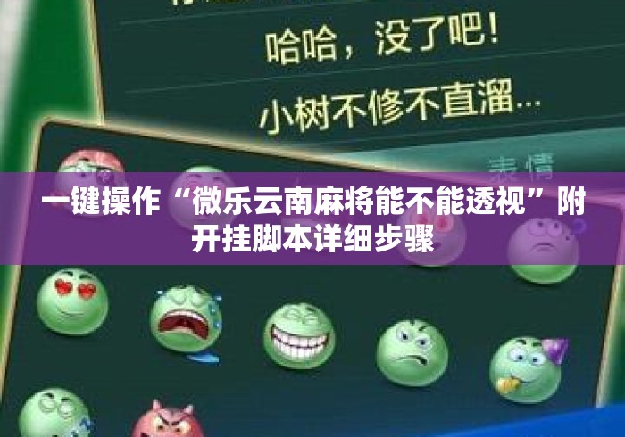 一键操作“微乐云南麻将能不能透视”附开挂脚本详细步骤