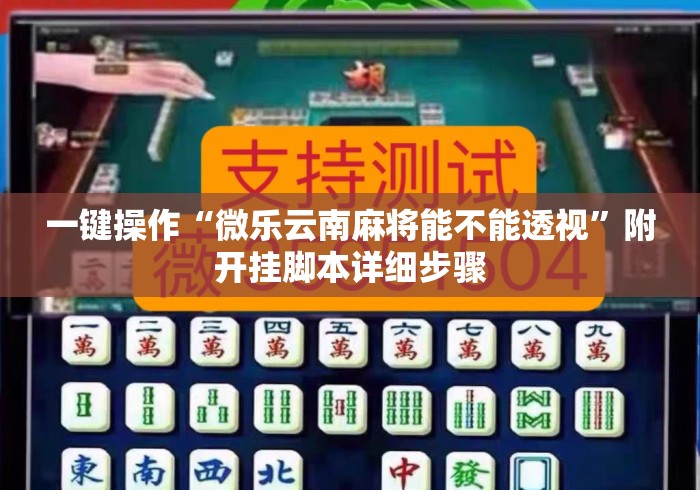 一键操作“微乐云南麻将能不能透视”附开挂脚本详细步骤
