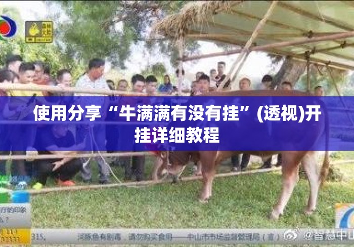 使用分享“牛满满有没有挂”(透视)开挂详细教程