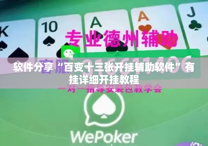 软件分享“百变十三张开挂辅助软件”有挂详细开挂教程