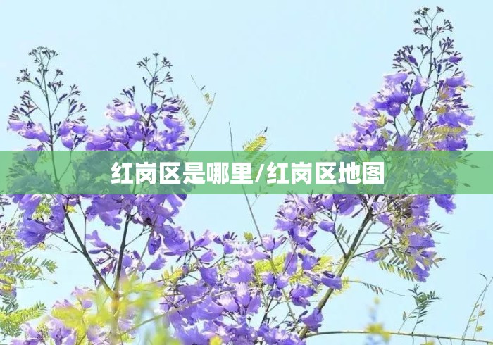 红岗区是哪里/红岗区地图 红岗区是哪里/红岗区地图