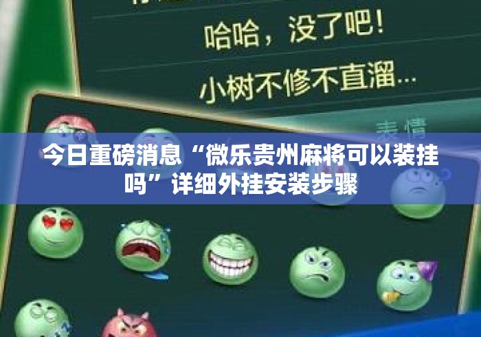 今日重磅消息“微乐贵州麻将可以装挂吗	”详细外挂安装步骤