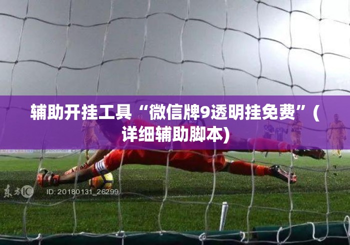 辅助开挂工具“微信牌9透明挂免费	”(详细辅助脚本)