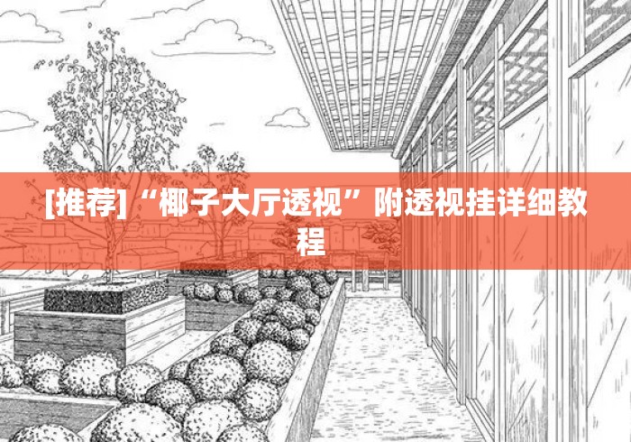 [推荐]“椰子大厅透视”附透视挂详细教程 