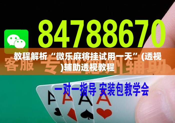 教程解析“微乐麻将挂试用一天”(透视)辅助透视教程