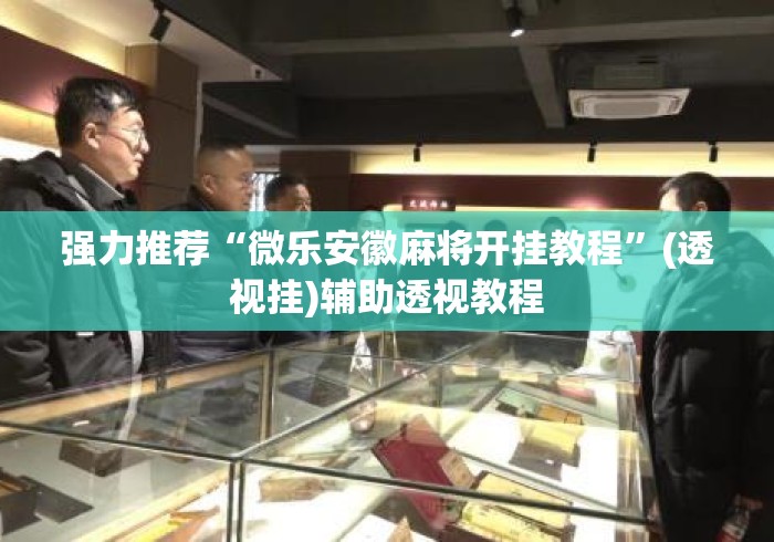 强力推荐“微乐安徽麻将开挂教程	”(透视挂)辅助透视教程
