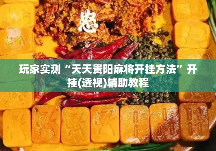 玩家实测“天天贵阳麻将开挂方法”开挂(透视)辅助教程