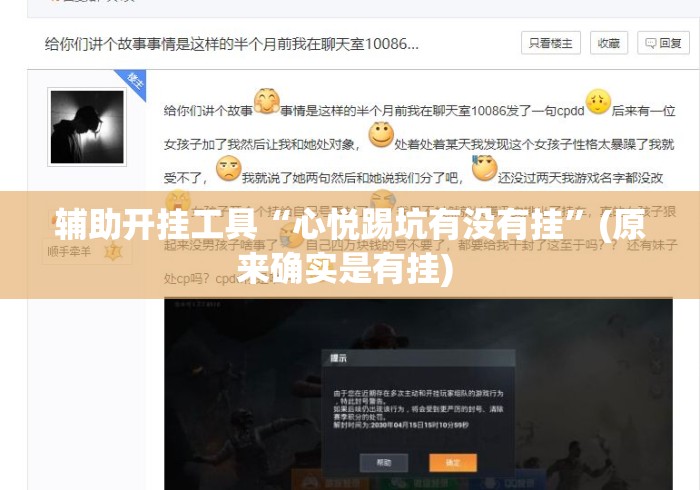 辅助开挂工具“心悦踢坑有没有挂”(原来确实是有挂) 