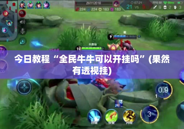 今日教程“全民牛牛可以开挂吗”(果然有透视挂)