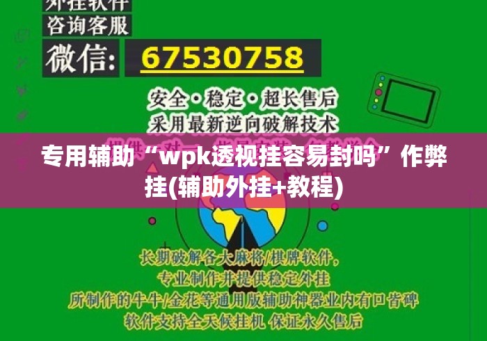 专用辅助“wpk透视挂容易封吗	”作弊挂(辅助外挂+教程)