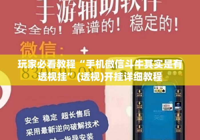 玩家必看教程“手机微信斗牛其实是有透视挂”(透视)开挂详细教程