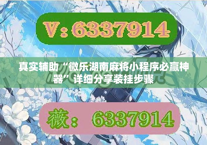 真实辅助“微乐湖南麻将小程序必赢神器”详细分享装挂步骤