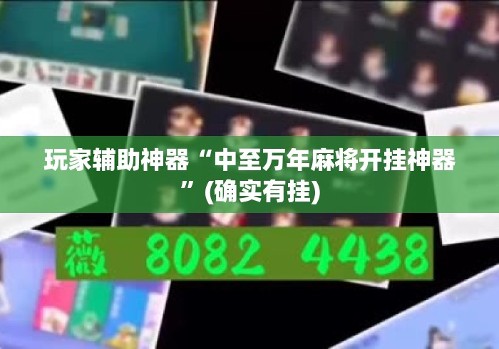 玩家辅助神器“中至万年麻将开挂神器”(确实有挂)