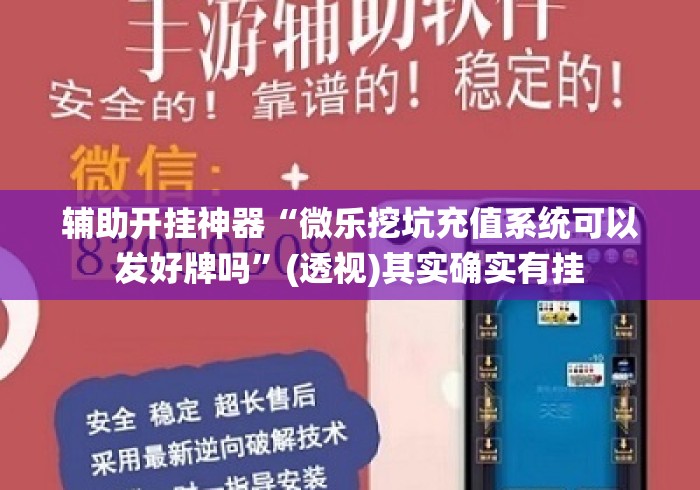 辅助开挂神器“微乐挖坑充值系统可以发好牌吗”(透视)其实确实有挂