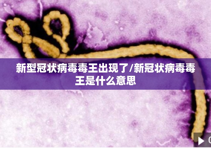 新型冠状病毒毒王出现了/新冠状病毒毒王是什么意思