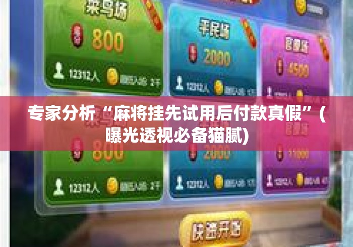 专家分析“麻将挂先试用后付款真假	”(曝光透视必备猫腻)