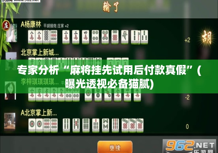 专家分析“麻将挂先试用后付款真假”(曝光透视必备猫腻)