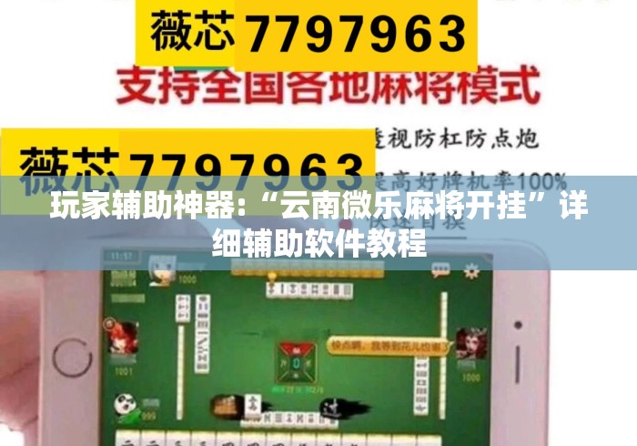 玩家辅助神器:“云南微乐麻将开挂”详细辅助软件教程