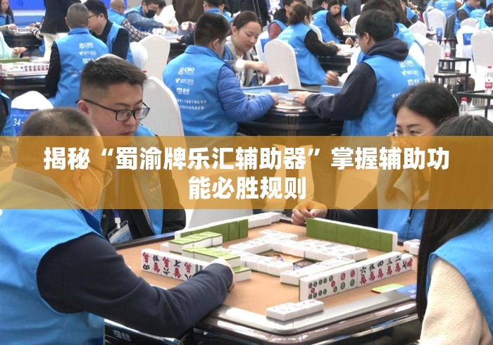 揭秘“蜀渝牌乐汇辅助器	”掌握辅助功能必胜规则