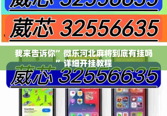 我来告诉你	”微乐河北麻将到底有挂吗”详细开挂教程