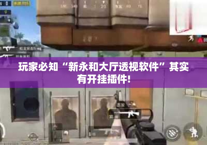 玩家必知“新永和大厅透视软件”其实有开挂插件!
