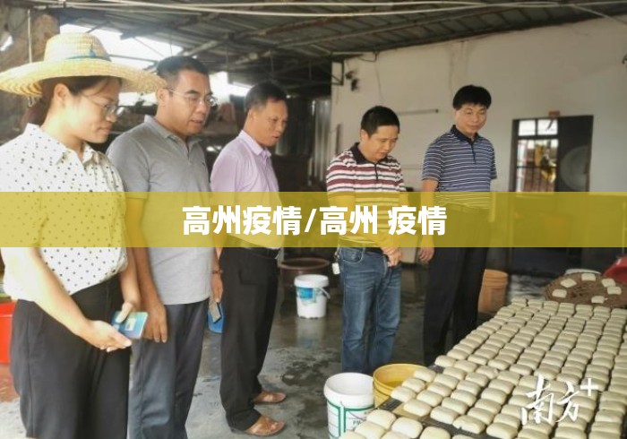 高州疫情/高州 疫情