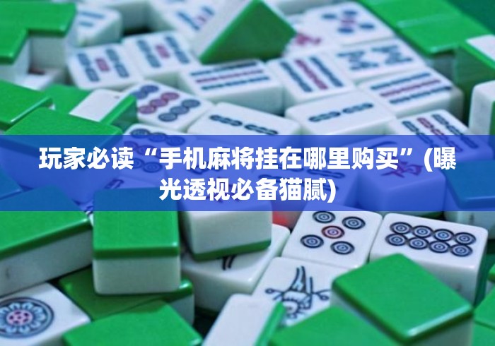 玩家必读“手机麻将挂在哪里购买”(曝光透视必备猫腻)