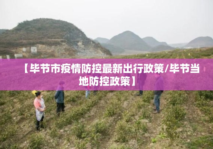 【毕节市疫情防控最新出行政策/毕节当地防控政策】