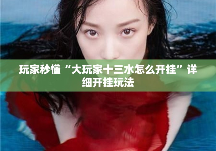 玩家秒懂“大玩家十三水怎么开挂”详细开挂玩法