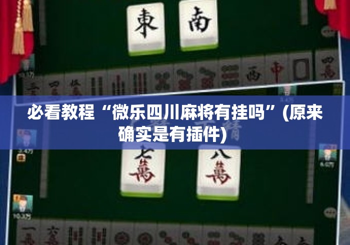 必看教程“微乐四川麻将有挂吗”(原来确实是有插件) 