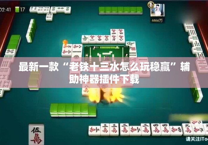 最新一款“老铁十三水怎么玩稳赢”辅助神器插件下载