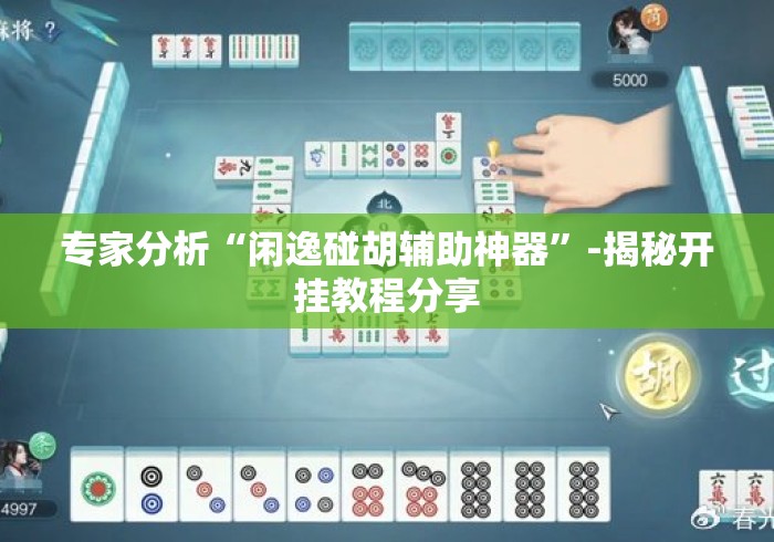 专家分析“闲逸碰胡辅助神器”-揭秘开挂教程分享