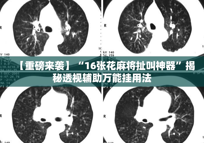 【重磅来袭】“16张花麻将扯叫神器”揭秘透视辅助万能挂用法