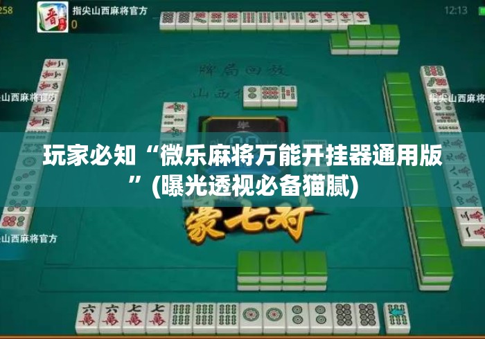 玩家必知“微乐麻将万能开挂器通用版”(曝光透视必备猫腻)