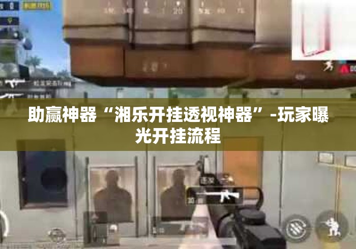 助赢神器“湘乐开挂透视神器	”-玩家曝光开挂流程